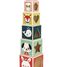 Pyramide 6 cubes Baby Forest J08016 Janod 1