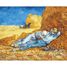 La Méridienne de Van Gogh K167-24 Puzzle Michèle Wilson 2