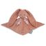 Doudou lapin terracotta Lapinoo 30 cm K972208 Kaloo 1