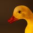 Lampe Canard EG360427 Egmont Toys 5