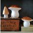 Lampe grand champignon cuivré EG-360637CO Egmont Toys 2