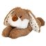 Peluche Bouillotte Lapin étoile WA-AR0080 Warmies 1