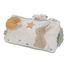 Triangle d'activités Newborn LD8423 Little Dutch 2