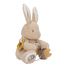 Peluche d'activités lapin Newborn LD8430 Little Dutch 2
