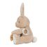 Peluche d'activités lapin Newborn LD8430 Little Dutch 6