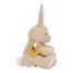 Peluche d'activités lapin Newborn LD8430 Little Dutch 5