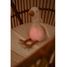 Peluche musicale et lumineuse Oie LD8440 Little Dutch 9