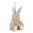 Peluche musicale et lumineuse Lapin LD8441 Little Dutch 8