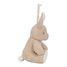Peluche musicale et lumineuse Lapin LD8441 Little Dutch 7