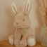 Peluche lapin Baby Bunny 15 cm LD8450 Little Dutch 2
