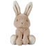Peluche lapin Baby Bunny 15 cm LD8450 Little Dutch 1