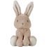 Coffret Cadeau Baby Bunny LD8859 Little Dutch 3