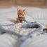 Doudou carré renard Forest Friends LD8927 Little Dutch 4