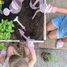 Outils de jardin rose Fairy Garden LD9110 Little Dutch 9