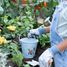 Outils de jardin bleu Forest Friends LD9111 Little Dutch 8