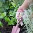 Gants de jardinage rose Fairy Garden LD9112 Little Dutch 5