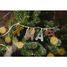 Lettre M phosphorescente LL83875 Lilliputiens 4