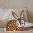 Lampe Veilleuse Lapin Chocolat LL008-467 Little Lights 7