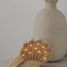 Lampe Veilleuse Coquillage Bois côtier LL082-000 Little Lights 6