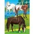 Cartes à gratter Les chevaux PI-7822 Piccolia 3