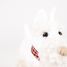 Lola le chien en peluche 17 cm EG130617 Egmont Toys 3
