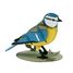 Maquette 3D en papier Mésange bleue FR-11764 Fridolin 2