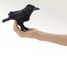 Marionnette à doigt Corbeau FO-2698 Folkmanis 2