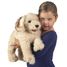 Marionnette à main Chien Labradoodle FO-3136 Folkmanis 2
