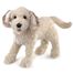 Marionnette à main Chien Labradoodle FO-3136 Folkmanis 1
