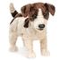 Marionnette à main Jack Russel Terrier FO-2848 Folkmanis 1