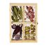 Cadre flottant double face ED-ML037 Esschert Design 1
