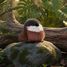 Peluche oiseau Moineau 15 cm HO3441 Histoire d'Ours 4