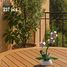 Pot de fleurs d'orchidée 237 pièces C59028W CaDA 3