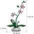 Pot de fleurs d'orchidée 237 pièces C59028W CaDA 4