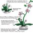 Pot de fleurs d'orchidée 237 pièces C59028W CaDA 5