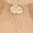 Ours en peluche miel amande 38 cm HO3386 Histoire d'Ours 11