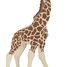 Figurine Girafon PA-50100 Papo 6