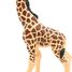 Figurine Girafon PA-50100 Papo 5