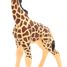 Figurine Girafon PA-50100 Papo 4