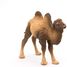 Figurine Chameau de Bactriane PA50129-3371 Papo 2