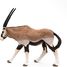 Figurine Antilope oryx PA50139-4529 Papo 3