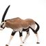 Figurine Antilope oryx PA50139-4529 Papo 4