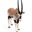 Figurine Antilope oryx PA50139-4529 Papo 5