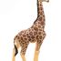 Figurine Girafe mâle PA50149-3612 Papo 6