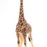 Figurine Girafe mâle PA50149-3612 Papo 3