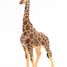 Figurine Girafe mâle PA50149-3612 Papo 2