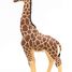 Figurine Girafe mâle PA50149-3612 Papo 1