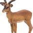 Figurine Impala PA50186 Papo 8