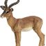 Figurine Impala PA50186 Papo 6