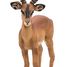 Figurine Impala PA50186 Papo 2